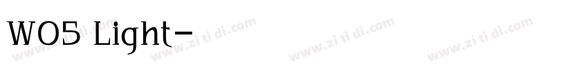 W05 Light字体转换